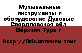 Музыкальные инструменты и оборудование Духовые. Свердловская обл.,Верхняя Тура г.